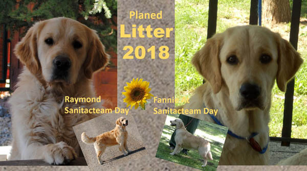 Planned Litters 2018 Planned Litters 2018